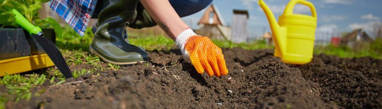 Grounding and Earthing